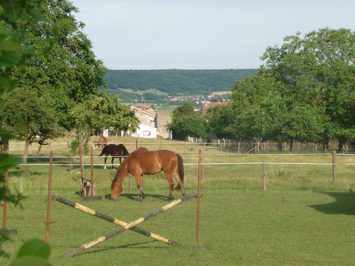 Le Chateau Bed and Breakfast Champagny-sous-Uxelles Exterior foto